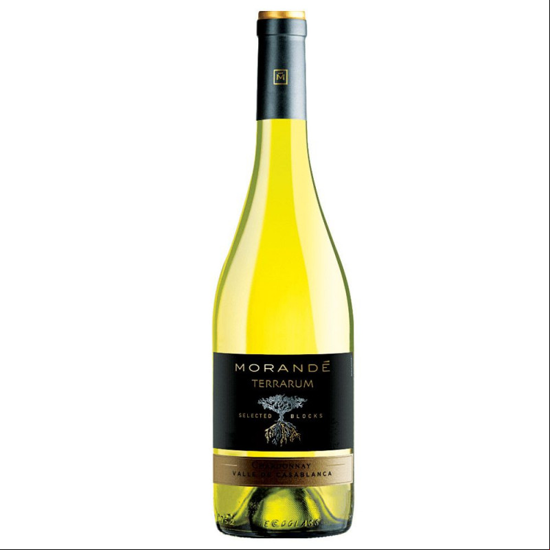 Domaine Olivier Merlin Mâcon La Roche Vineuse 2020