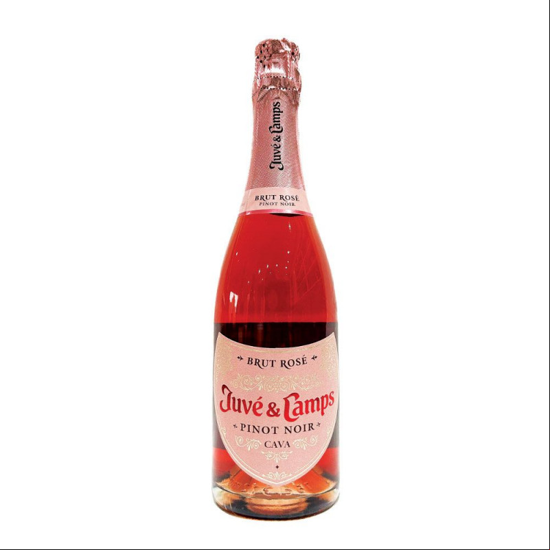 Cava Juvé & Camps Pinot Noir Brut Rosé