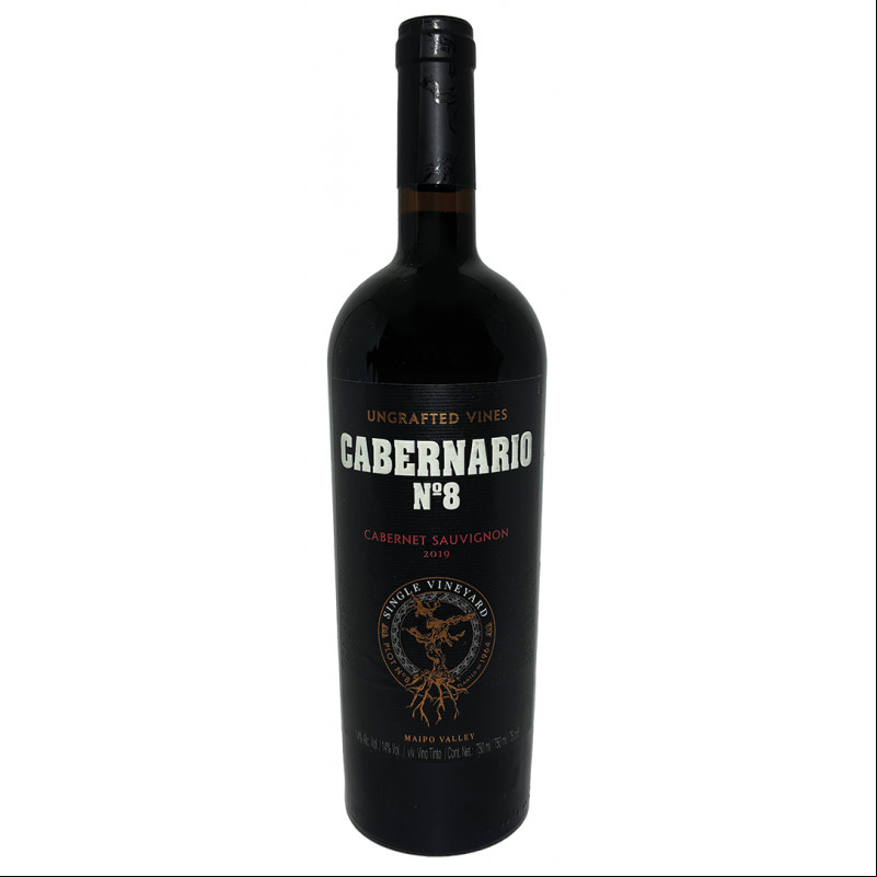 Cabernario nº8 2019