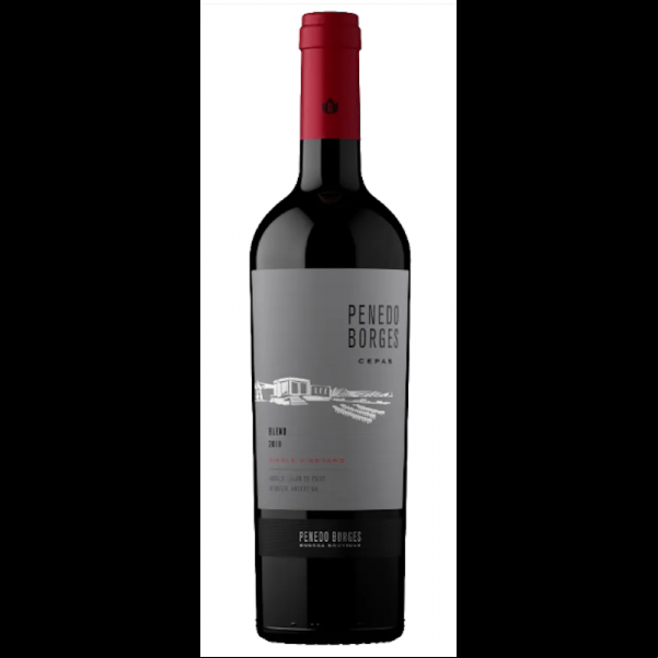 Penedo Borges Cepas Blend 2020