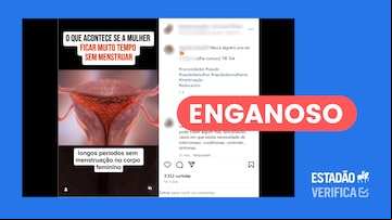 Imagem exibe captura de tela do post analisado e etiqueta de enganoso em vermelho. Foto: Foto